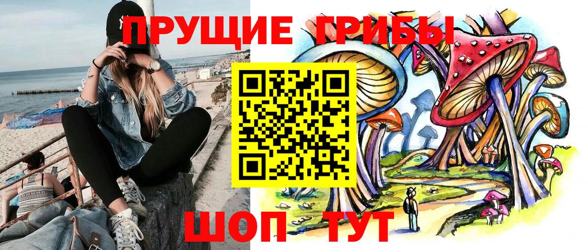 Вятские Поляны  Псилоцибиновые грибы мицелий  Псилоцибиновые грибы мицелий  Вход с VPN 